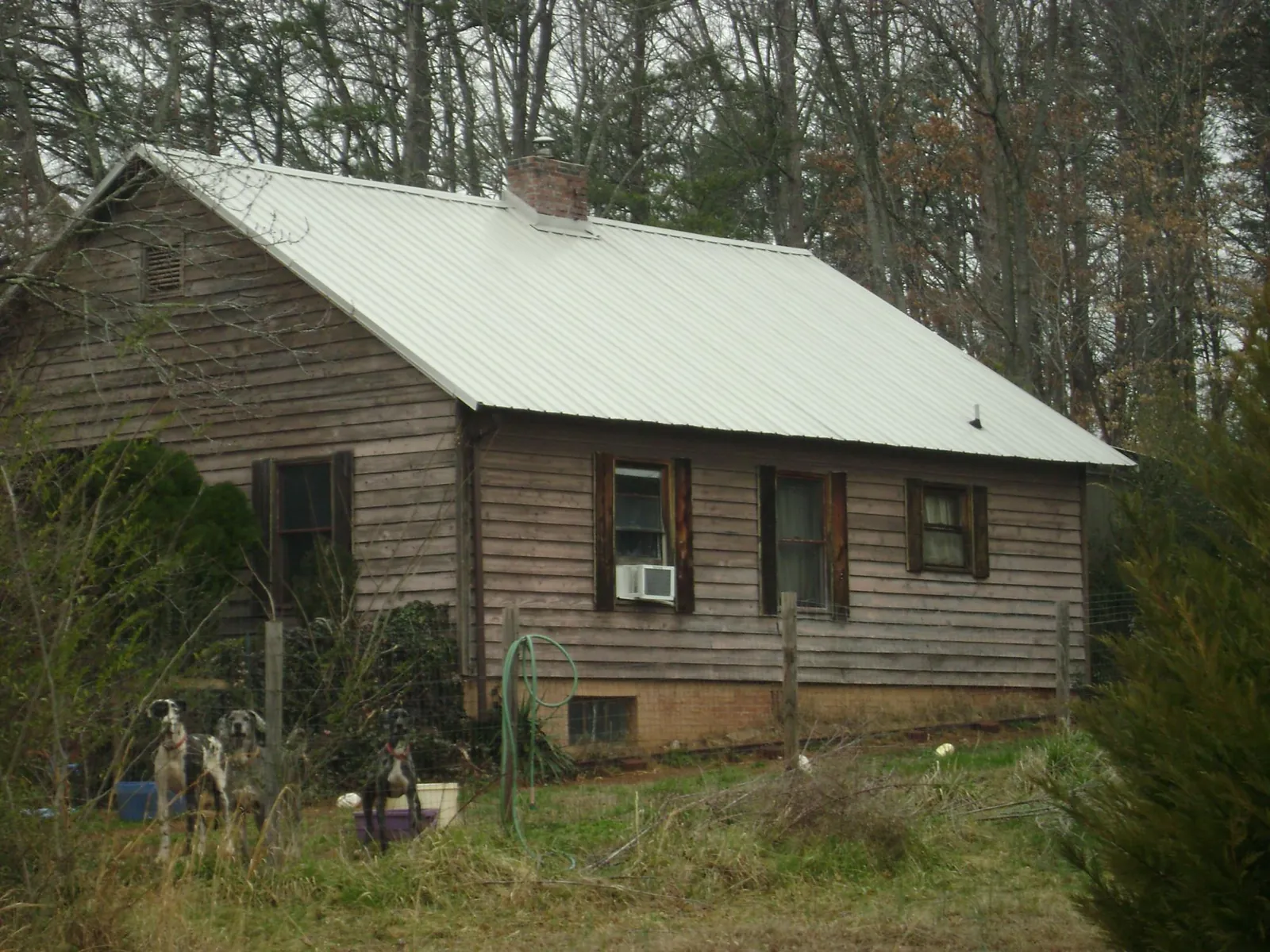 White metal roof on an old wood sided farmhouse, from a Asphalt Shingle Roof Repair job in Evangeline